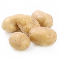 Patata