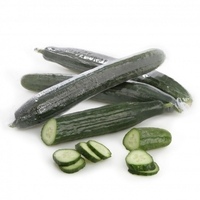 Pepino-de-Almeria
