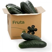 Pepino