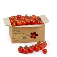 Tomate-cherry-rama