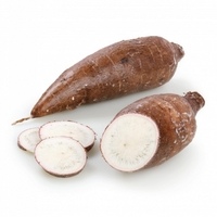 Yuca