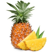 Pina-tropical