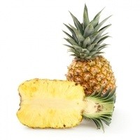 Pina