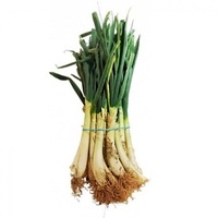 Calcots