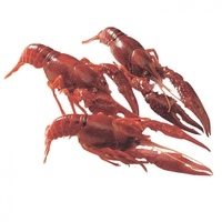 Cangrejo-de-rio