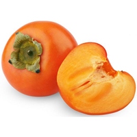 Caqui