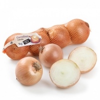 Cebollas