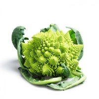 Coliflor-romanesco