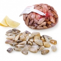 Coquina