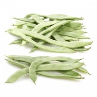 Judia-verde-plana