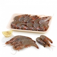 Langostino