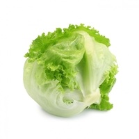 Lechuga-iceberg