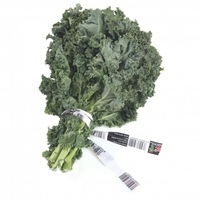 Lechuga-kale