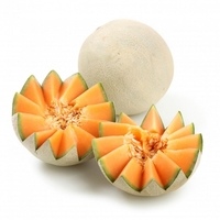 Melon-cataloup
