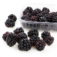 Moras