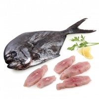 Palometa