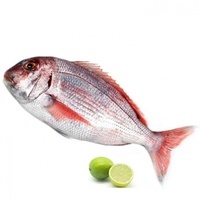 Pargo