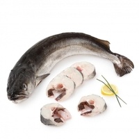 Pescadilla-de-pincho