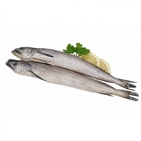 Pescadilla