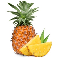 Pina-tropical