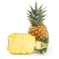 Pina