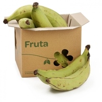 Platano-macho