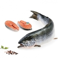 Salmon-rodaja