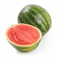 Sandia-rayada