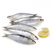 Sardina