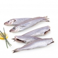 Bacaladilla