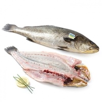 Corvina