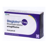 Steglatro-5